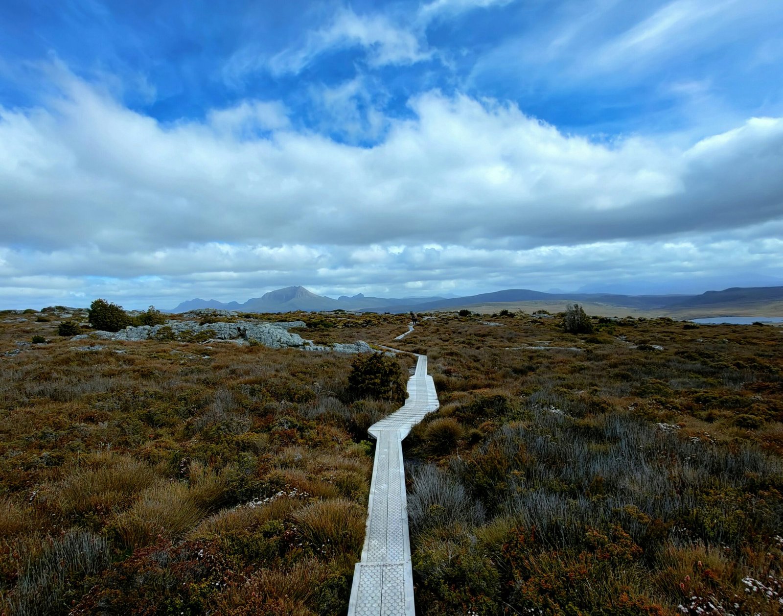 a wooden path in the middle of a field