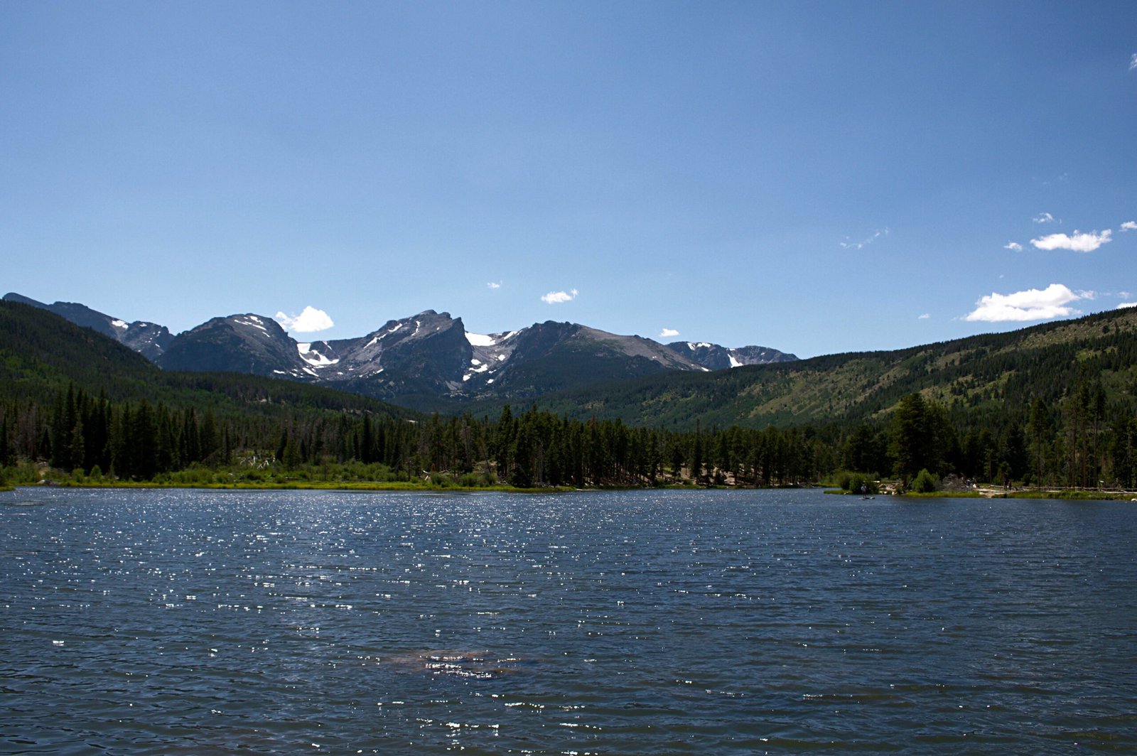 green trees near body of water during daytime