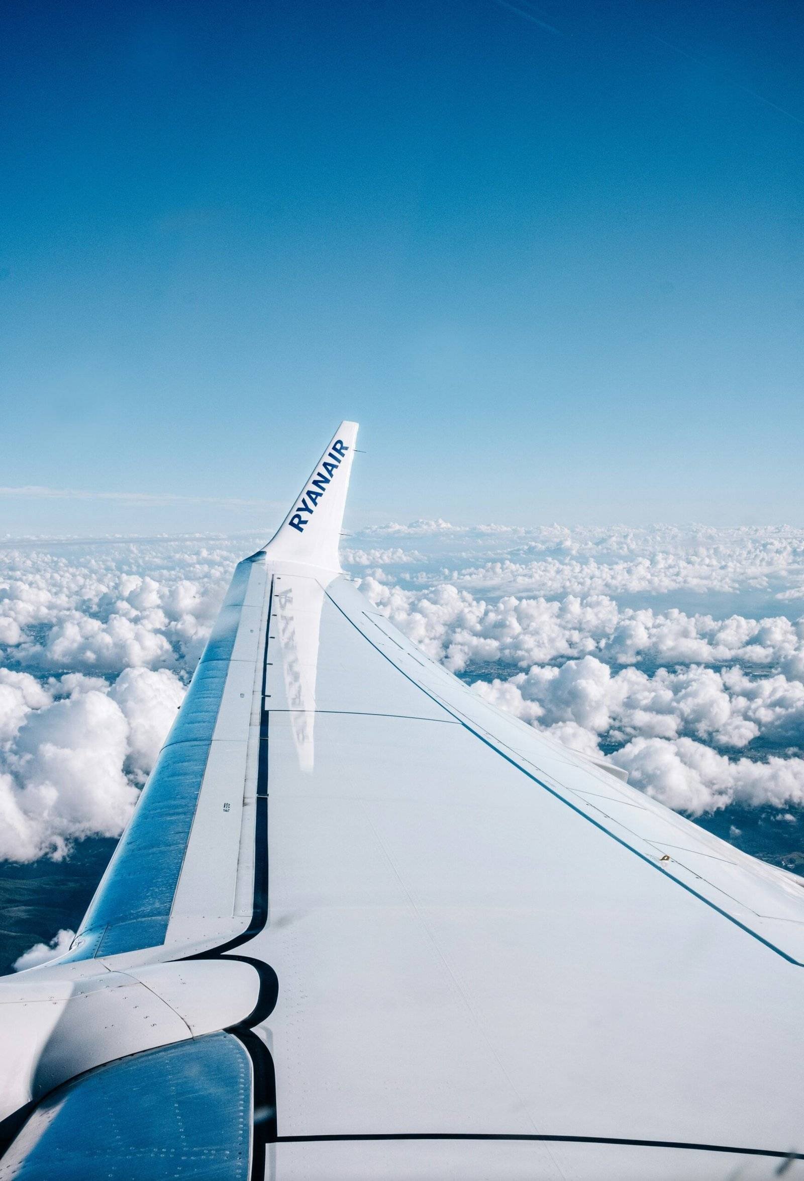 the wing of an airplane